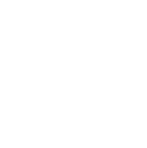Virgin Megastore